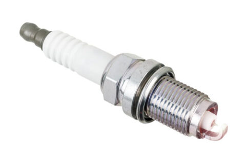 Engine Oil, Spark Plugs, Car Batteries - Maui Auto Parts